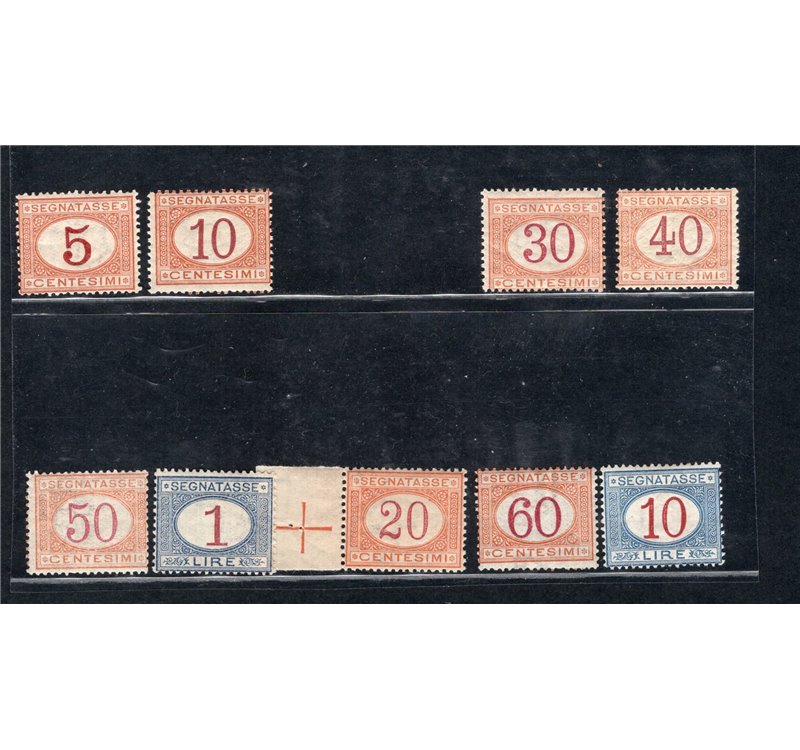 1890/94 - Segnatasse cifra in ovale, serie n° 20/28. Firm.: Raybaudi. Cert.: IC. Cat. € 1.530 (**)