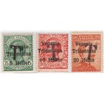 Terre Redente - Trentino Alto Adige - Bolzano 1 - 1918/19 - Francobolli di Venezia Tridentina con soprast. di una “T” nera, seri