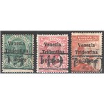 Terre Redente - Trentino Alto Adige - Bolzano 3 - 1918/19 - Venezia Tridentina con soprast. "T", serie n° BZ3 11/13. Cert.: Bion