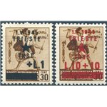 Occup. Straniere dei Territori Italiani - Occup. Jugoslava - Trieste - Monumenti distrutti soprast. 1 £ su 30 c. bruno e 10 £ su