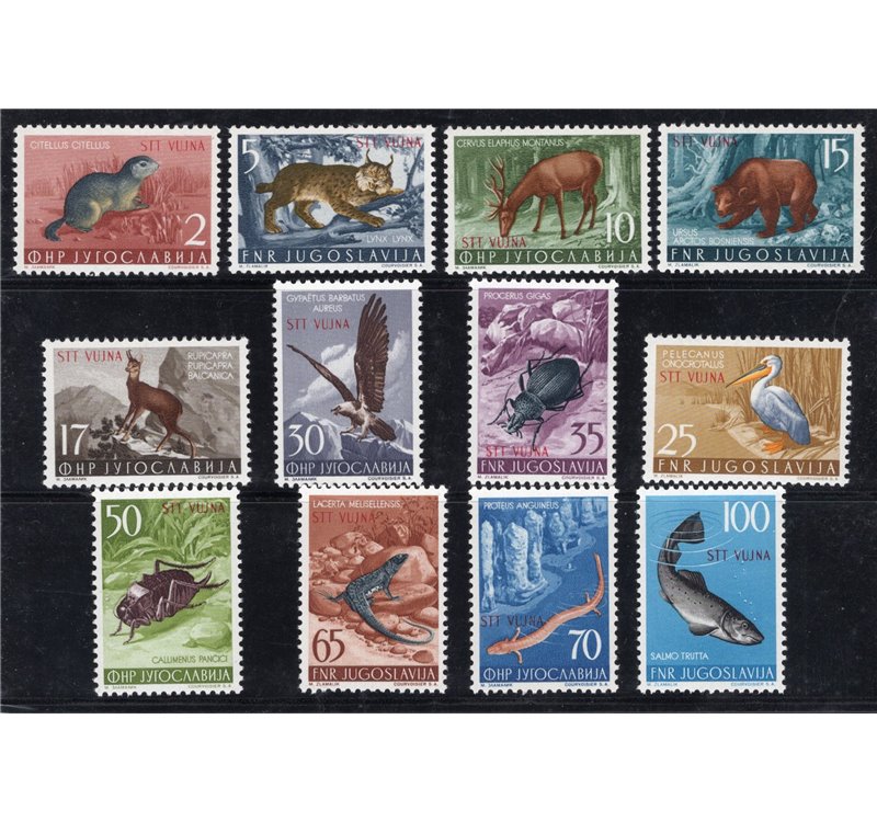1954 - Trieste B, Animali, serie n° 101/12. Cert.: IC. Cat. € 250 (**)