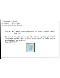 Italia 1867 - Effigie di Vittorio Emanuele II 20 c. azzurro, tiratura di Torino. Cat. € 500. (*)