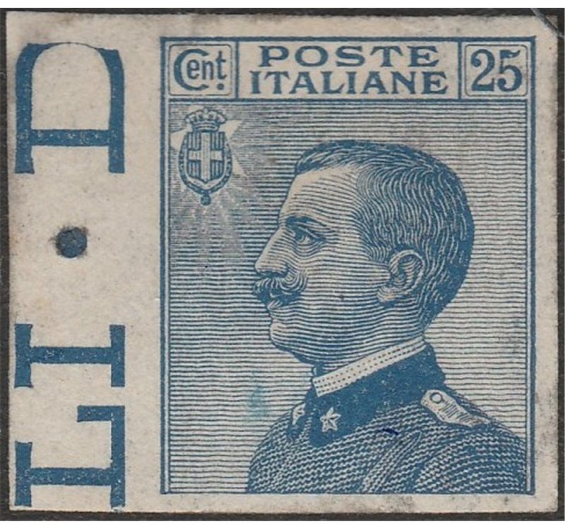 Italia 1908 - Michetti 25 c. azzurro non dentellato. Cat. € 90 (*)