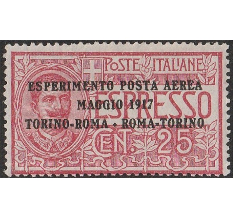 Italia 1917 - Posta Aerea Volo Torino - Roma - Torino 25 c. rosso Cat. € 90 (**)