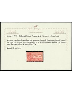 Italia 1903 - Espresso Vitt. Emanuele III 25 c. rosso Cert.: Italia Colleziona. Cat. € 225 (**)
