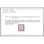 Italia 1921 - Tipo Leoni 10 c. rosa con sovrastampa "B.L.P." del I tipo  Cat. € 3600 (**)