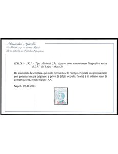 Italia 1921 - Michetti 25 c. azzurro con sovrastampa "B.L.P." litografica del I tipo Cat. € 1400 (**)
