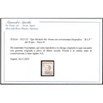 Italia 1922-23 - B.L.P. tipo Michetti 40 c. bruno con sovrastampa litografica "BLP" del II tipo Cat. € 380 (*)