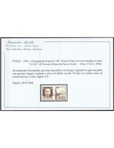 Italia 1944 - R.S.I. Propaganda di guerra 30 c. bruno II tipo con sovrastampa in nero "G.N.R." di Verona. Cat. € 450 (**)