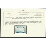 1946 - Vittorie Polacche 55 g. azzurro su carta giallastra spessa. Gommato Cat. € 260 (**)