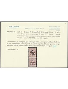 1918-19 - Trentino Varietà Bolzano 1 Trento e Trieste, coppia verticale del 2 c. Cat. € 480 (**)