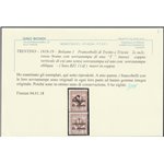 1918-19 - Trentino Varietà Bolzano 1 Trento e Trieste, coppia verticale del 2 c. Cat. € 480 (**)