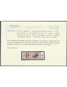 1918-19 - Trentino Varietà Bolzano 1  f.lli di Trento e Trieste, coppia verticale del 2 c. Cert.: Biondi. Cat. € 720 (**)