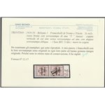 1918-19 - Trentino Varietà Bolzano 1  f.lli di Trento e Trieste, coppia verticale del 2 c. Cert.: Biondi. Cat. € 720 (**)