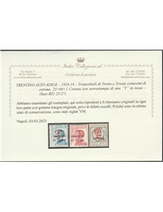 1918-19 - Trentino Bolzano 1F.lli di Trento e Trieste con sovr. di una "T" rossa, la serie. Cat. € 787,50 (**)