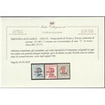 1918-19 - Trentino Bolzano 1F.lli di Trento e Trieste con sovr. di una "T" rossa, la serie. Cat. € 787,50 (**)