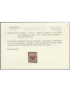 1918-19 - Trentino Bolzano 3 Floreale 2 c. rosso bruno con sovr. "T 5" tra due linee orizzontali in nero Cat. € 270 (**)