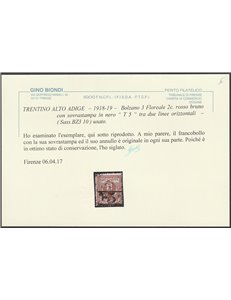 1918-19 - Trentino Bolzano 3 Floreale 2 c. con sovr " T 5" tra linee orizzontali Cat. € 220 (U)