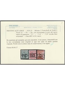 1918-19 - Trentino Bolzano 3 F.lli di Trento e Trieste 5 c. 10 c. 20 c. con sovr. dei nuovi valori Cat. € 680 (*)