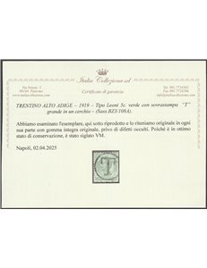 1919 - Trentino Alto Adige Bolzano 3 Leoni 5 c. con sovr. "T" grande in un cerchio Cat. € 480 (**)