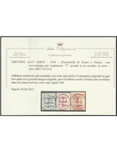 1919 - Trentino Alto Adige Bolzano 3 F.lli di Trento e Trieste con sovr. "T" grande in un cerchio Cat. € 1350 (**)