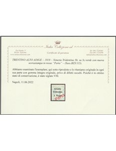 1919 - Trentino Alto Adige Bolzano 3 Leoni 5 h. su 5 c. di Venezia Tridentina con sovr. in rosso "Porto" Cat. € 480 (**)