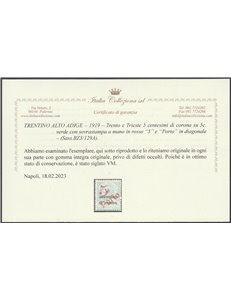 1919 - Trentino Bolzano 3 Trento e Trieste 5 c. su 5 verde con sovrastampa Cat. € 6000 (**)