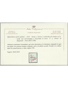1919 - Trentino Bolzano 3 Trento e Trieste 5 c. su 5 verde con sovr. in rosso "5" e "Porto" in diagonale Cat. € 3300 (**)