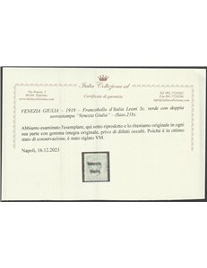 1918 -Venezia Giulia Varietà Leoni 5 c. verde con doppia sovrastampa "Venezia Giulia" Cat. € 450 (**)