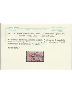 1919 - Venezia Giulia Espresso 25 c. con sovrastampa "Venezia Giulia" Cat. € 500 (U)