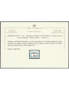 1918 - Venezia Giulia Segnatasse di Regno del 1890 - 903 con sovr. "Venezia Giulia" la serie  Cat. € 4000 (**)