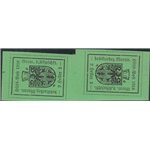 1918 - Merano Stemma 2 h. verde chiaro I tipo coppia verticale tete-beche Cat. € 1200 (**)
