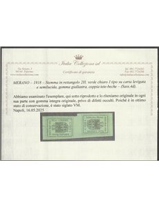 1918 - Merano Stemma 2 h. verde chiaro I tipo coppia verticale tete-beche Cat. € 1200 (**)