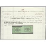1918 - Merano Stemma 2 h. verde chiaro I tipo coppia verticale tete-beche Cat. € 1200 (**)