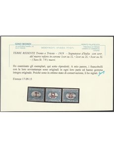 1919 - Terre Redente Trento e Trieste Segnatasse di Regno con sovr. del nuovo valore in corone Cat. € 1500 (**)