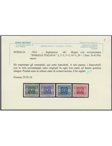 1934 - Colonie Italiane Somalia Segnatasse del Regno con sovr. "SOMALIA ITALIANA" Cat. € 1350 (**)