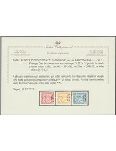 1951 - Libia per la Tripolitania Segnatasse sovrastampato in MAL, la serie. Cat. € 300 (**)