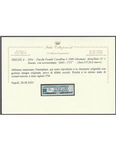 Trieste A Pacchi Postali 1954 - Pacchi L. 1000 cavallino con sovr. "AMG-FTT" e dent. lineare 13 1/4 Cat. € 300 (**)