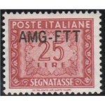 Trieste A Segnatasse 1954 - Cifra 25 L. rosso bruno con sovr. modificata "AMG-FTT" con ottima centratura Cat. € 675 (**)